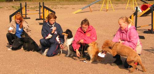 Mini- och medivinnarna